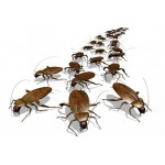 Установка барьера от тараканов, клопов, муравьев